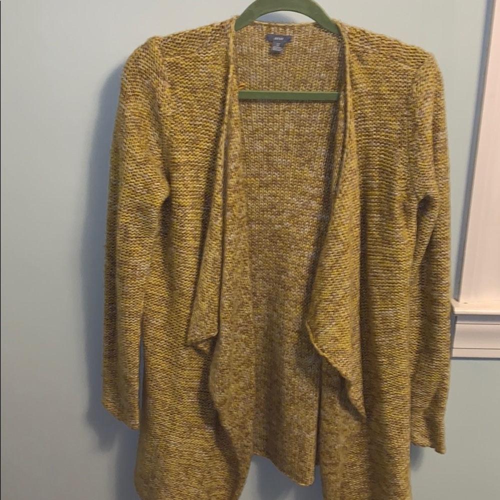 Aerie Cardigan Sweater